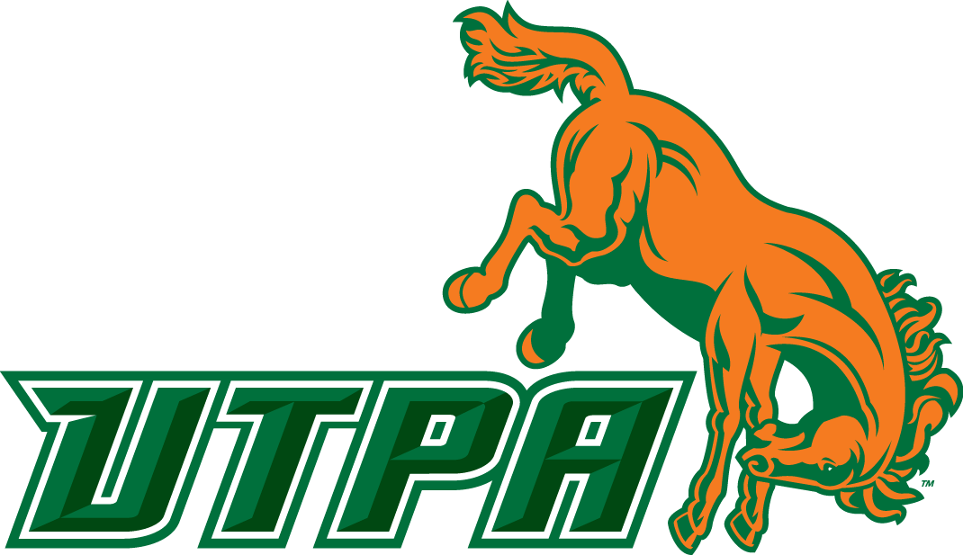 Texas-Pan American Broncs 2010-2014 Alternate Logo diy iron on heat transfer